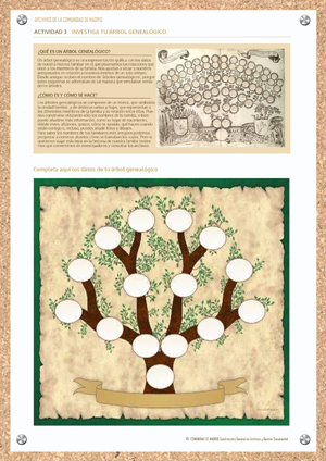 ACTIVIDAD 3 ÁRBOLGENEALÓGICO mayores