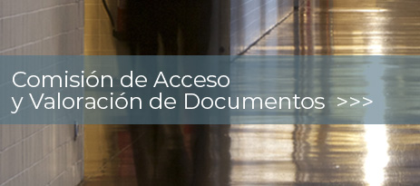 BANNER comisionaccesoyvaloracion 3