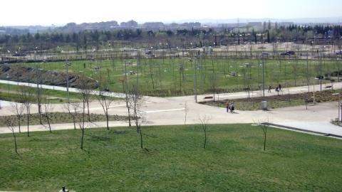 Parque Forestal Valdebernardo. Madrid