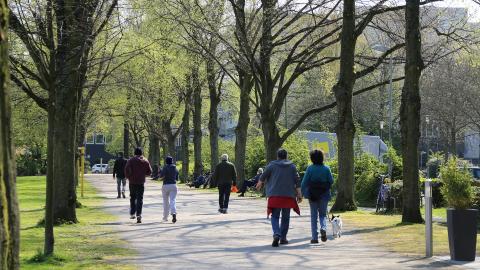 Parque con personas caminando