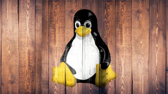 Símbolo de pingüino de Linux pintado en tablones de madera.